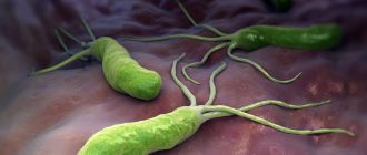 хеликобактер пилори