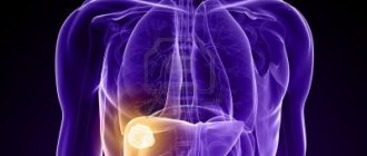 альвеококкоз печени