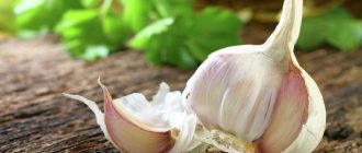 острицы и чеснок