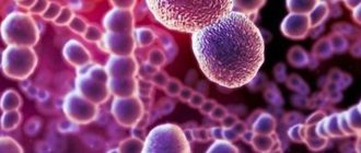 облигатный паразит