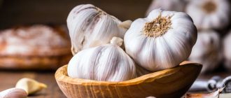 чеснок в борьбе с паразитами