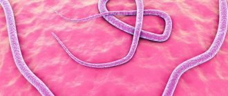 разновидности паразитов