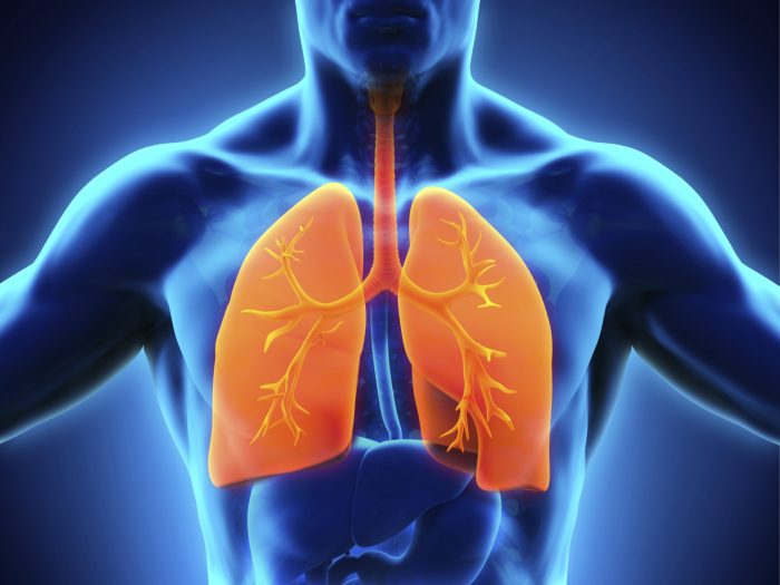 терапия дыхательной системы