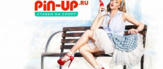 Pin-Up скачать с большим бонусом